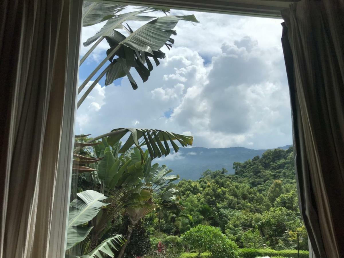 يولي Wisdom Garden Home Stay المظهر الخارجي الصورة