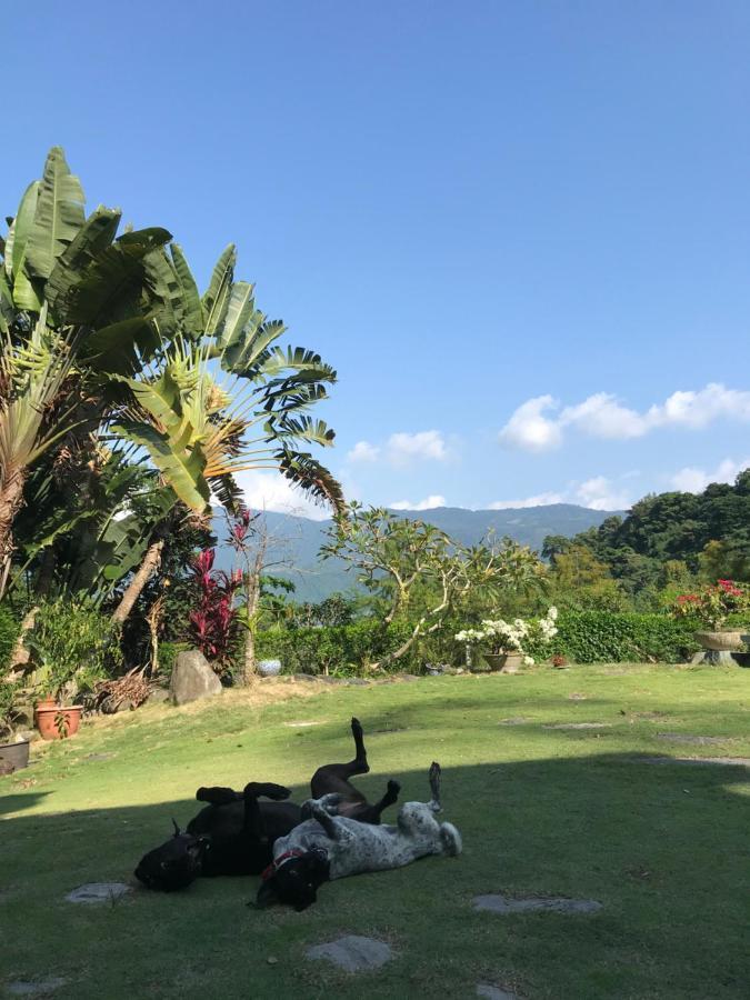 يولي Wisdom Garden Home Stay المظهر الخارجي الصورة
